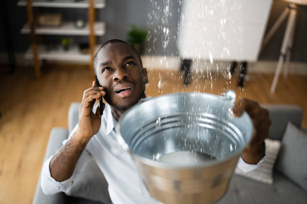 Best 24/7 water damage repair  in Berryville, VA