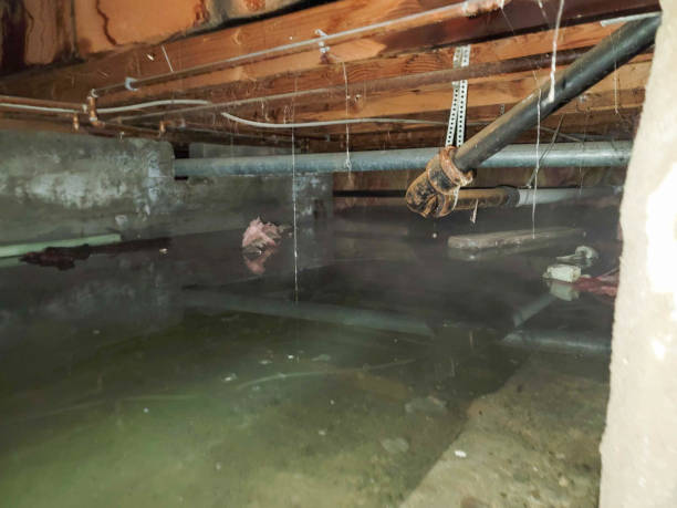 Best Ceiling water damage repair  in Berryville, VA