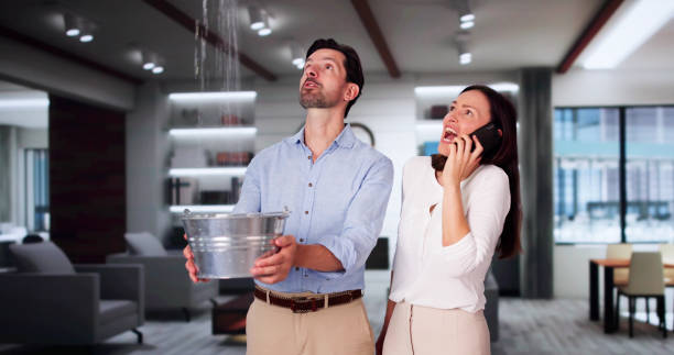 Reliable Berryville, VA Water damage restoration Solutions